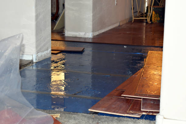 Professional Water Extraction technician working in Blue Creek, OH